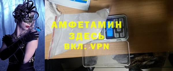 прущие грибы Горно-Алтайск