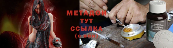 прущие грибы Горно-Алтайск