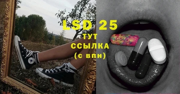 сатива Вязьма