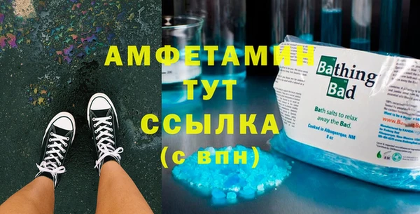 прущие грибы Горно-Алтайск
