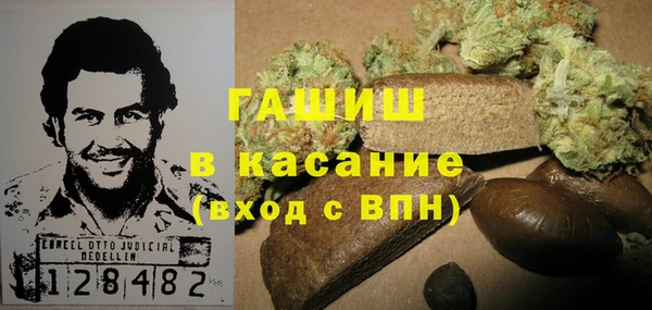 сатива Вязьма