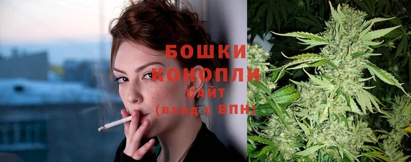 прущие грибы Горно-Алтайск